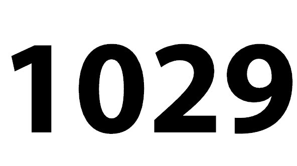 1029