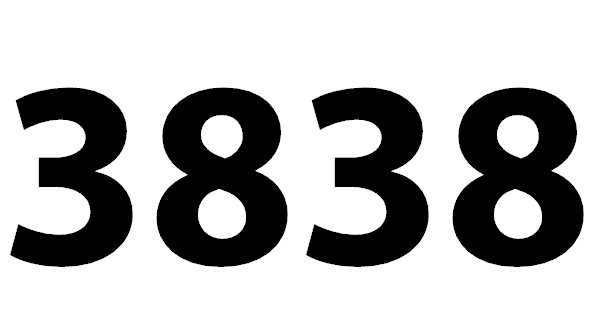 3838