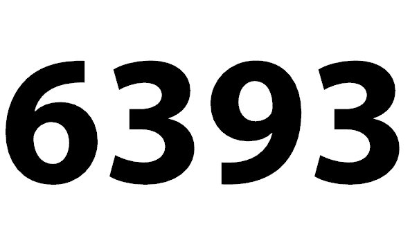 6393