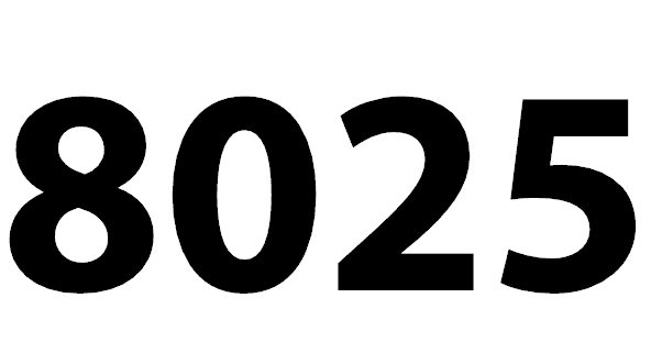 8025