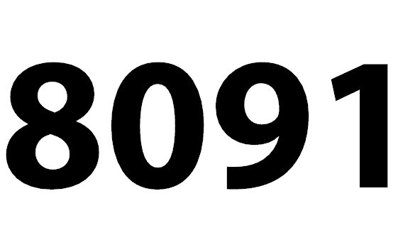 8091