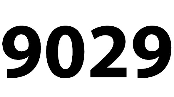 Zahl 9029